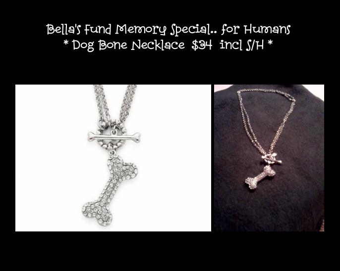 dogbonenecklace photo of Bella's Fund's dog bone necklace