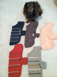Weezer and Car Coats photo of Weezer and Car Coats - Gift with donation