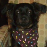 photo of Molly Zee in her bandanna