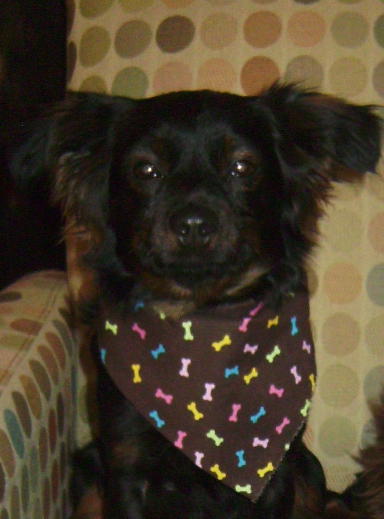 photo of Molly Zee in her bandanna