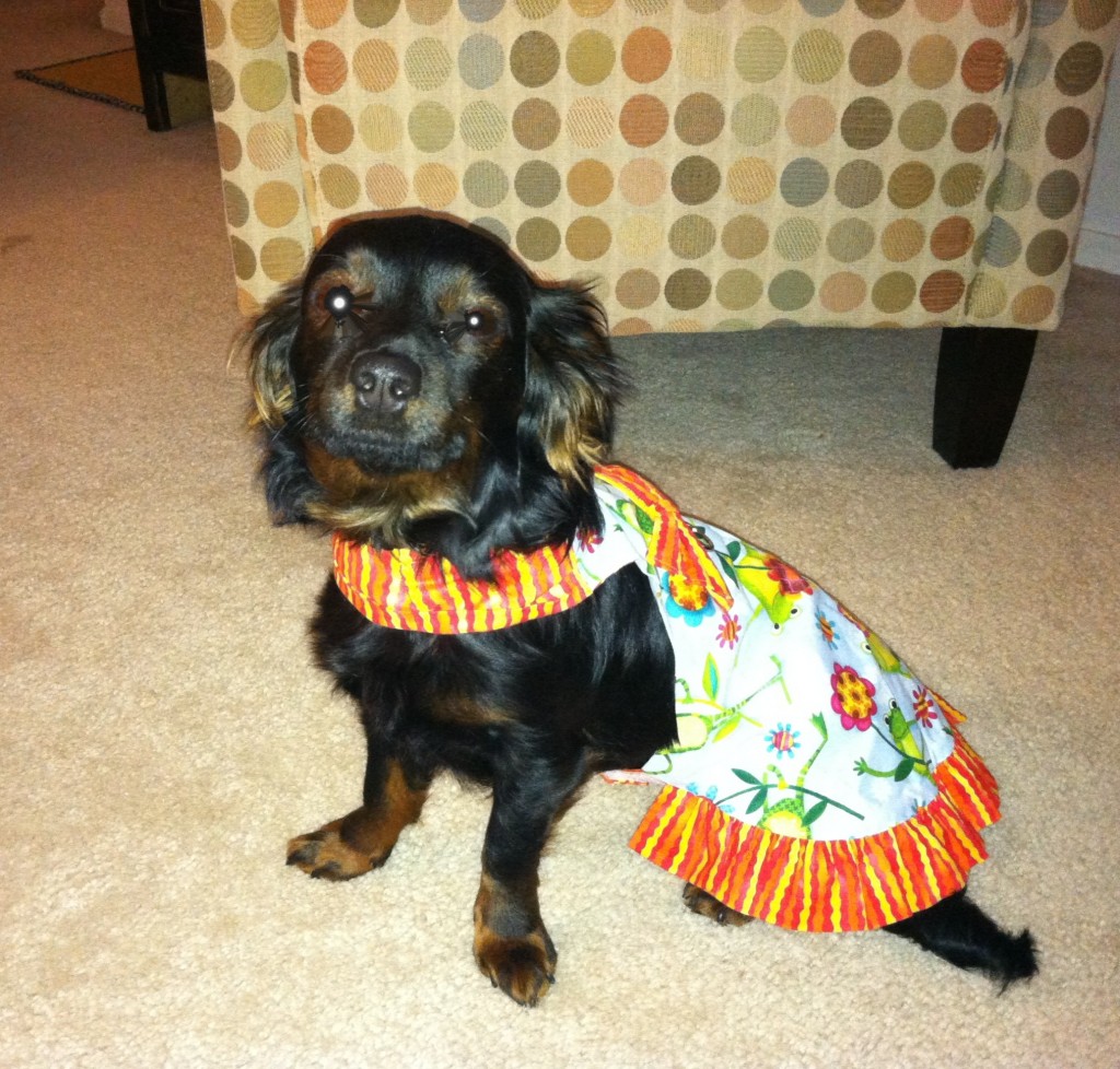 photo of Molly Zee in her pretty dress