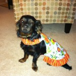 photo of Molly Zee in her pretty dress